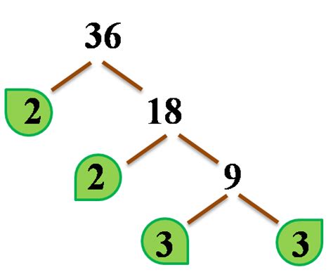 prime factorization calculator definition factor tree