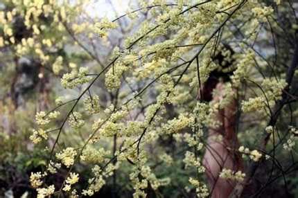 Tắm nude trong rừng là biểu hiện băng hoại đạo đức