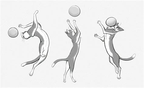 Cat Poses Sketch By Cicakkia On Deviantart