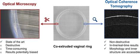 Optical Coherence Tomography As A Novel Tool For Non Invasive Membrane