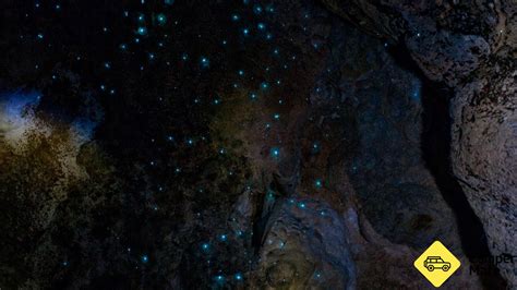 Kawiti Glow Worm Caves, Northland, Northland, New Zealand | CamperMate
