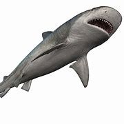 Which Spongebob Squarepants Character Should You Fuck