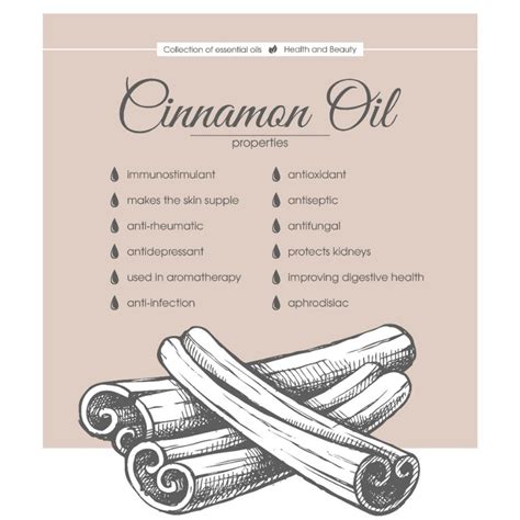 Cinnamon Essential Oil Uses, Benefits and Cautions - Aroma Scents Naturals