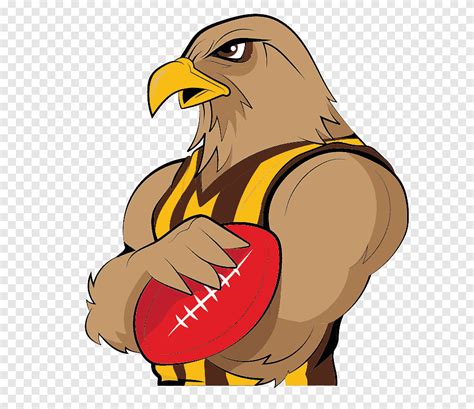 2017 Afl Season Hawthorn Football Club West Coast Eagles Australian