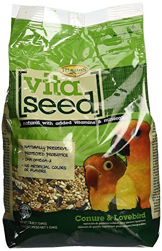 Best Foods For Lovebirds 2024 - Vet Ranch - We Love Pets