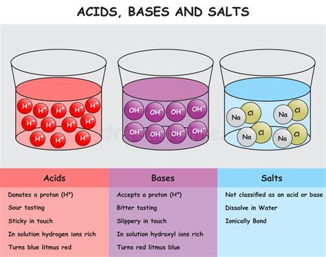 Diagrama Infográfico De ácidos Y Sales Ilustración del Vector