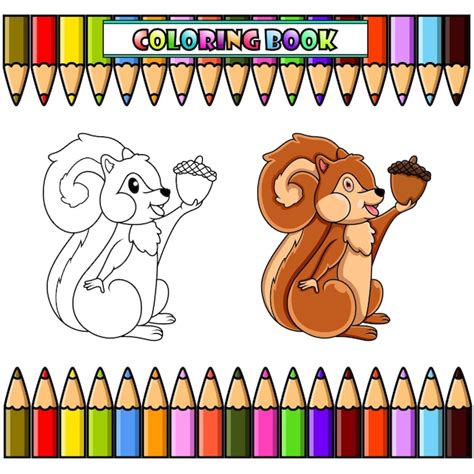 Premium Vector Cartoon Squirrel Holding A Nut For Coloring Book