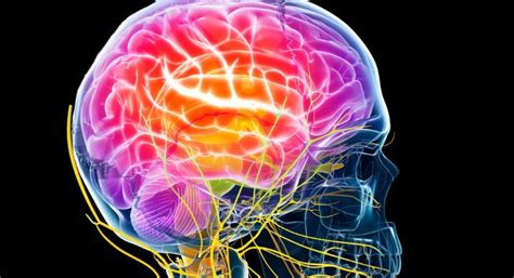 jenis jenis stroke kortex