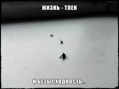 Питер. Коммуналка... | Пикабу