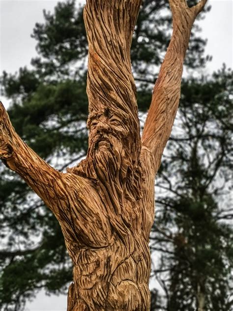 Old Oak Father Sculpture - Simon O'Rourke