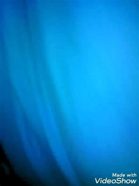 Culito Shemale Porn XHamster