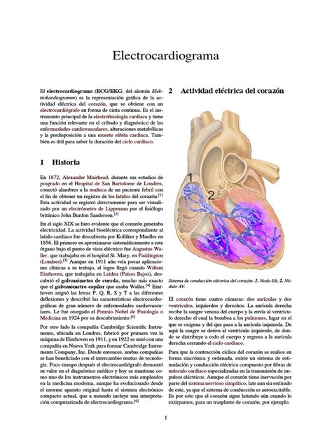 Guía del Electrocardiograma (ECG) | PDF | Electrocardiografia