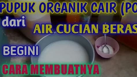 Jangan Dibuang Air Cucian Beras Ternyata Bisa Jadi Pupuk Organik