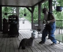 Dancing Raccoon GIFs | Tenor