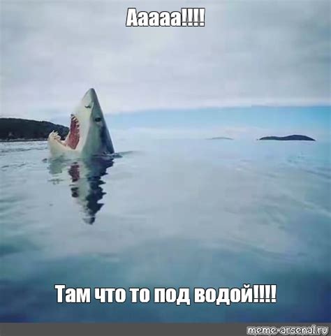 Мем: "Ааааа!!!! Там что то под водой!!!!" - Все шаблоны - Meme-arsenal.com