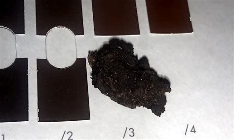 secret world  swamp mud boing boing