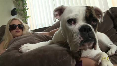 Brooke Belle And Lela Star Are Horny Lesbians With Big Tits Lesbian Lesbian Porn Xhamster