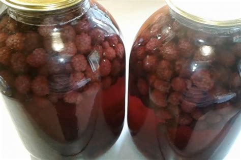 15 вкуснейших рецептов компота из ежевики на зиму