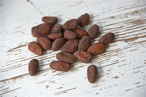 cocoa beans  stock photo public domain pictures