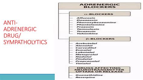 Adrenergic Agonists And Antagonists In Veterinary Medicine Ppt