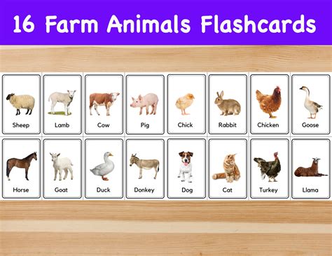 Farm Animal Flash Cards Printable - Printable Free Templates