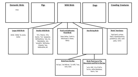 Malo's Bird Folk Taxonomy. | Download Scientific Diagram