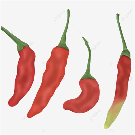 Red Hot Chilli Illustration Chilli Png Red Pepper Png Hot Chilli Png PNG Transparent Clipart