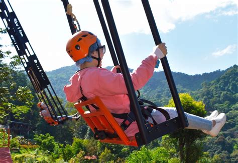 Skyline Jungle Luge Romance And Adventure