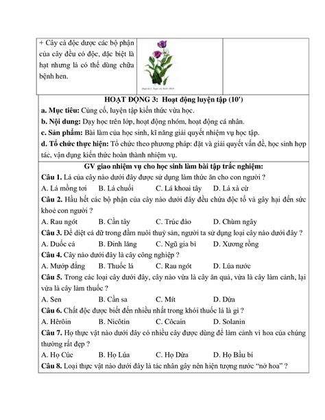 Giáo án Sinh học 6 Bài 48 Vai trò của thực vật đối với động vật và đối