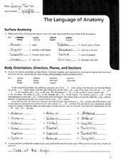 The Language Of Anatomy Review Sheet Exercise Answer Key Exercise