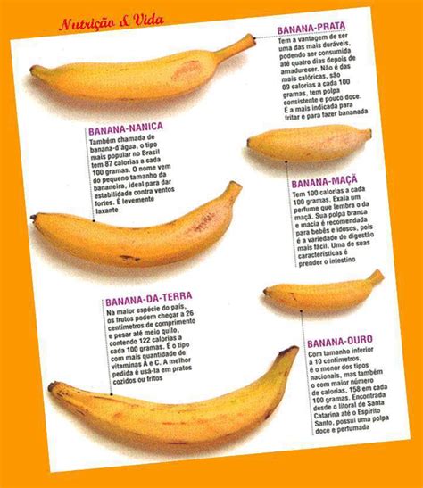 Tipos De Bananas E Seus Nomes - Como Diferenciar Tipos de Banana? – Mundo Ecologia