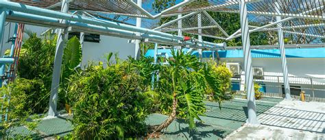 Manila Water Integrated Report 2024 | Raising The Bar Even Higher