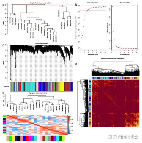 非肿瘤生信 如何分析才能发4分sci 知乎