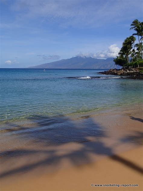 Snorkeling in Napili Bay, Maui | Snorkeling in Hawaii