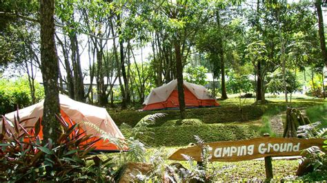 9 Rekomendasi Tempat Camping Di Bogor Ramah Anak Ibupedia