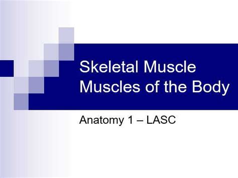 Gross Skeletal Muscles Lecture Video