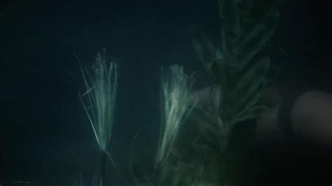 Naked Danielle Panabaker In Piranha 3DD