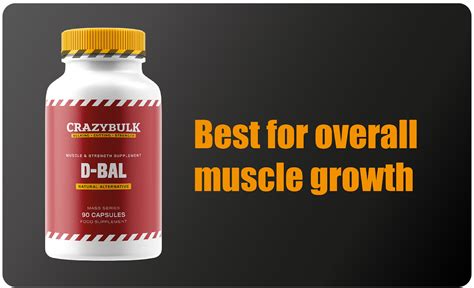 Best Muscle Building Supplements In