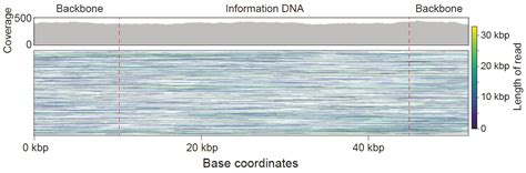 Advanced Science 钱珑欧阳颀团队开发出便携式dna数据存储系统 北京大学定量生物学中心