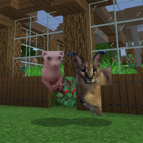 Bingus N Big Floppa In Minecraft Bingus Know Your Meme