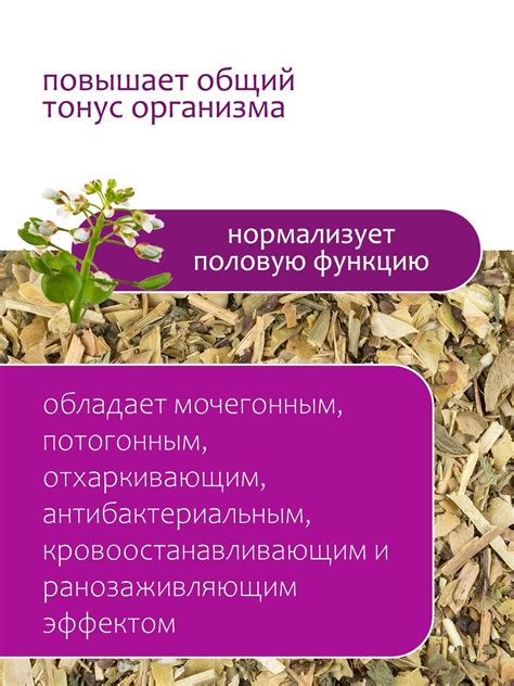 Ярутка полевая - купить лечебные травы недорого в интернет-магазине ...
