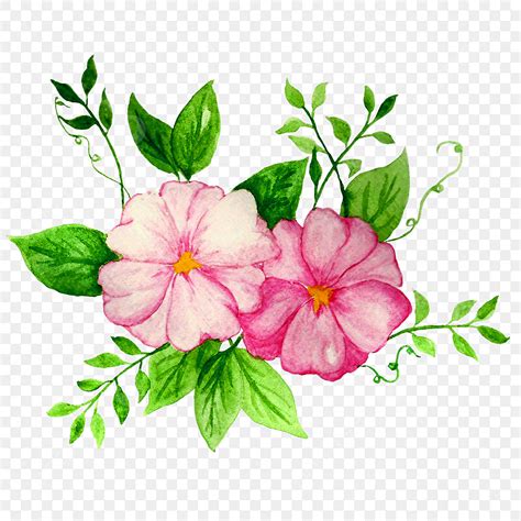 Pink Watercolor Flowers Hd Transparent Pink Watercolor Flower Flower