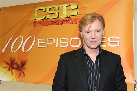 TV Star David Caruso is Also Remembered for his Legal Troubles; Heres