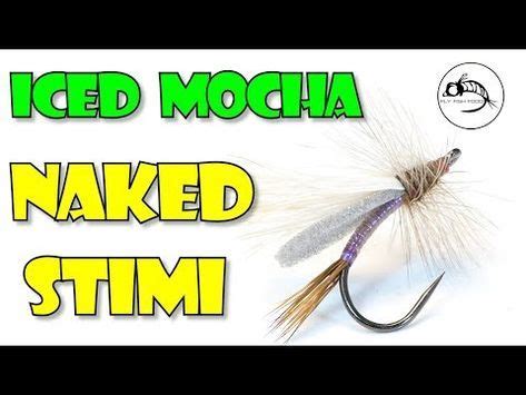 The Naked Iced Mocha Stimi Attractor Pattern Youtube