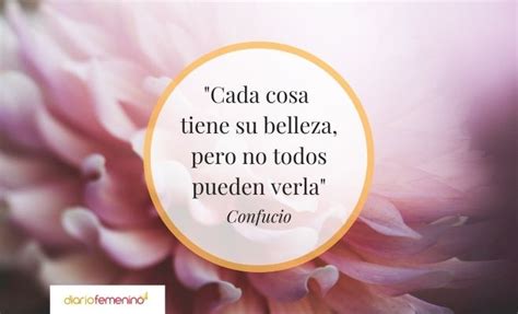 Descubrir Imagen Frases Motivadoras De Belleza Viaterra Mx