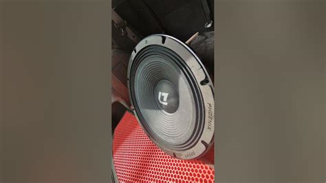 DL Audio Phoenix Sport 300 #dlaudio #автозвук #сабвуфер - YouTube