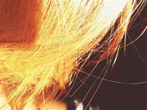 Premium Photo Extreme Close Up Of Blonde Hair