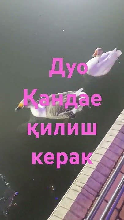 Дуо - YouTube