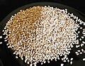 categorysesame wikimedia commons