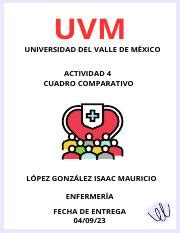 A Imlg Pdf Uvm Universidad Del Valle De M Xico Actividad